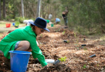 Care for the environment and create new friendships
