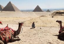 Sandy’s Noosa update