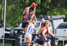 Tigers on top of the QAFL ladder