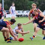 Tigers_471882_03