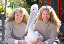 Twinnies call for help