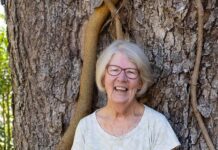 Bring back the tourism levy