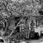 history_474323_01