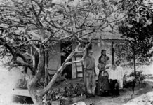 Pioneering stories unearthed