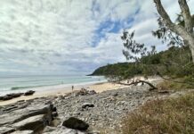 Noosa Head trail ready to walk