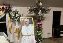 Catholics reflect on Pope Francis