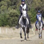 2605QUILTY_477714_46
