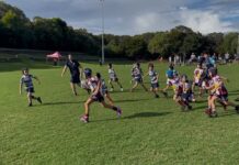 Dolphin juniors kick off season
