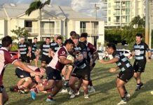 Dolphins highs and lows