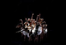 The J to host free film screening of Swan Lake by Ballet Preljocaj