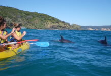 Sunshine Coast tourism shines bright in Best of Queensland Experiences list