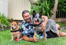 Hot rods and homegrown on show