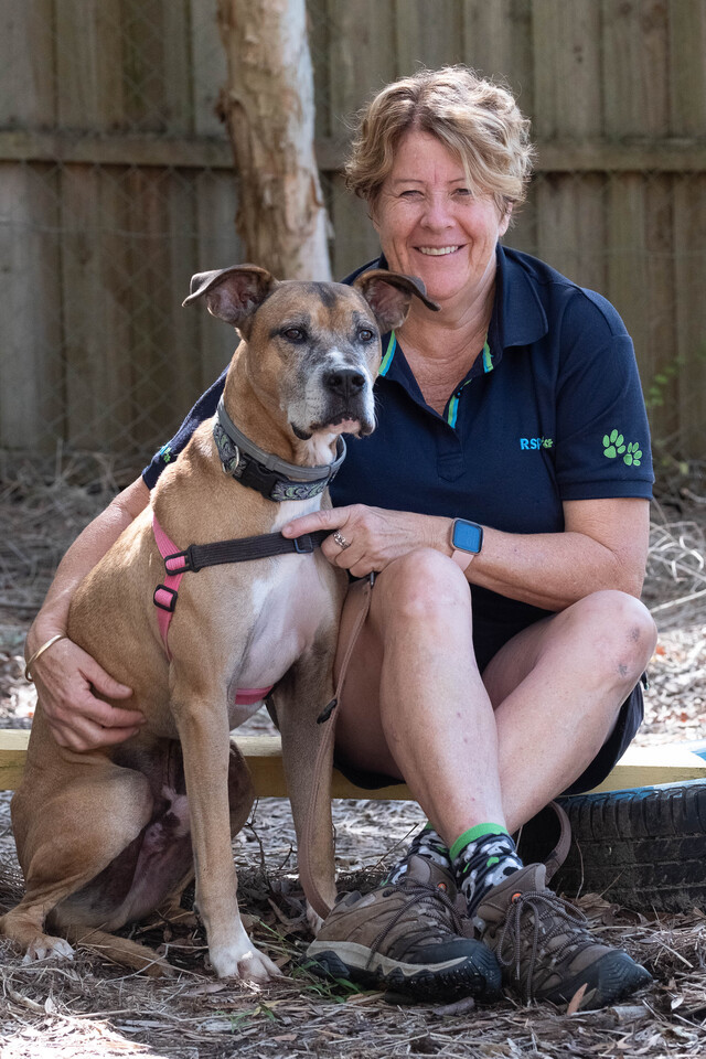 RSPCA Noosa closes, Councils partner to help lost pets