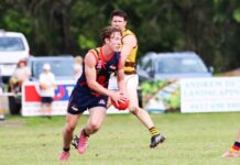 Tigers down but by no means out