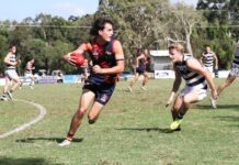 Tigers too good for Cats