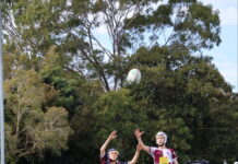 Junior Dolphins round up