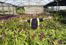 Green is the new black