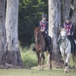1306WIDGEE_481214_02