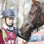 1306WIDGEE_481214_03