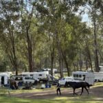 1306WIDGEE_481214_07