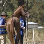 1306WIDGEE_481214_12