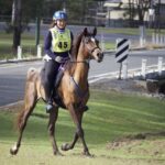 1306WIDGEE_481214_22