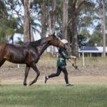 1306WIDGEE_481214_24