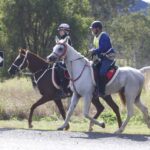 1306WIDGEE_481214_29