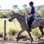 1306WIDGEE_481214_35