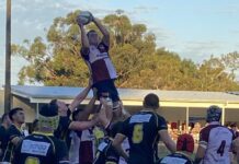 Home match welcomed by Dolphins