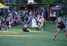 Results come from disciplined Dolphins