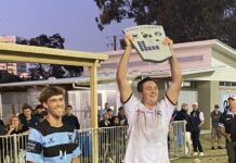 Dolphins at home in memorial match