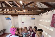 Dolphins round the grounds