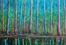 Cooroy Butter Factory welcomes three new solo exhibitions