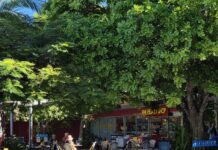 Discover the heart of local shopping at Noosa Fair