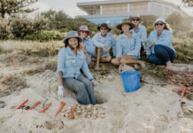 Rare footage celebrates turtle heroes and their epic quest