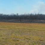 airfield_486223_01