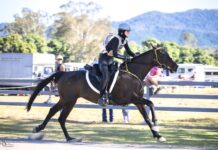 Ireland gallops home