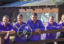 Sunshine Butterflies celebrate 15 years