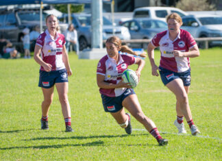 Dolphins winning ways