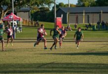 Back to Noosa for Dolphins