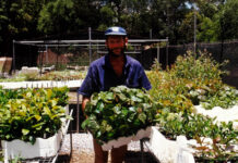 Confessions of a tree hugger