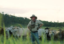 Wright Cut Meats in Cooroy embraces farm-to-plate ethos