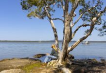 Concerns raised over Noosa River anchoring changes