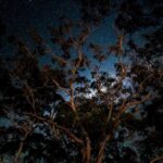 NT1AUG25_492611_03