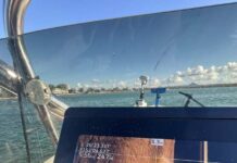 Potential crocodile sighting at Noosa Spit sparks investigation