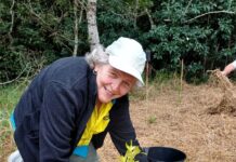 Volunteers help nature thrive this National Tree Day