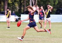 Tigers return to winner’s list