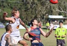 Noosa women in the four