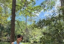 Young artists go wild